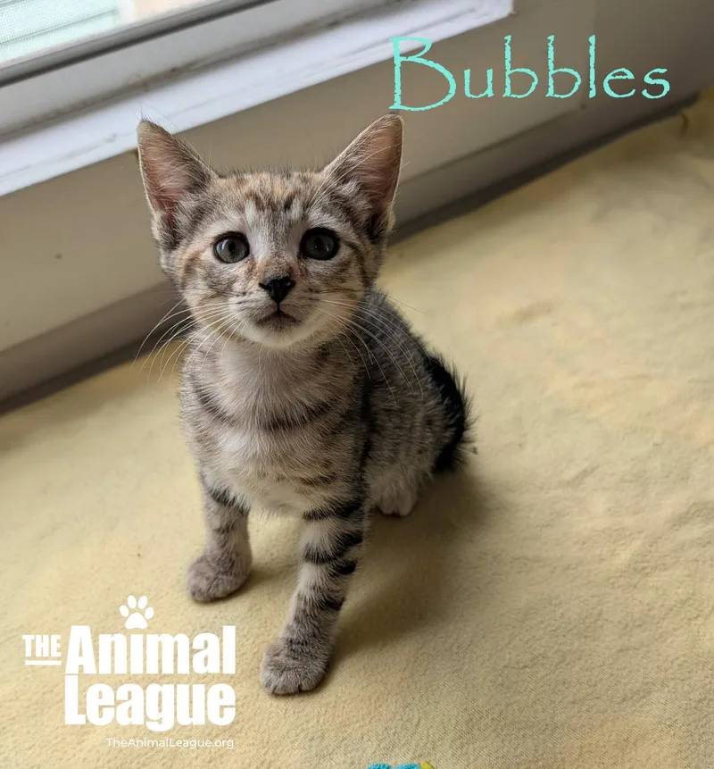 Bubbles thumbnail 2