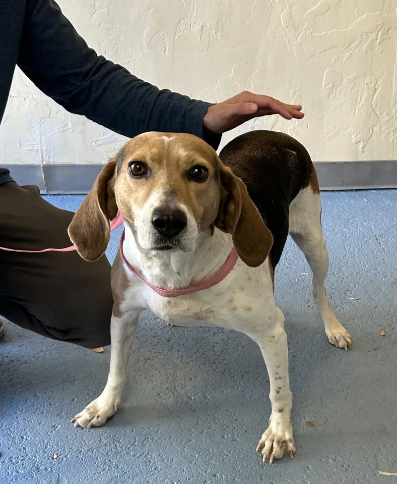 Caroline thumbnail 2