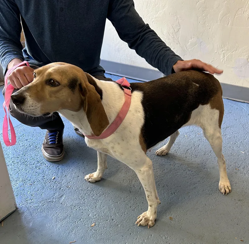 Caroline thumbnail 3