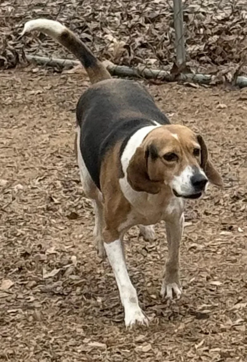 Caroline thumbnail 4