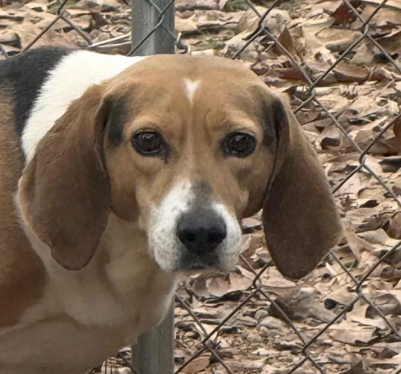 Caroline thumbnail 5