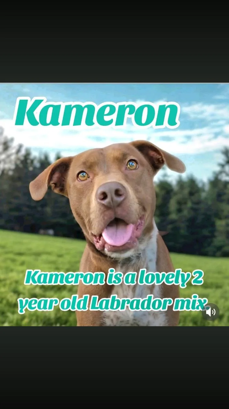 Kameron thumbnail 2