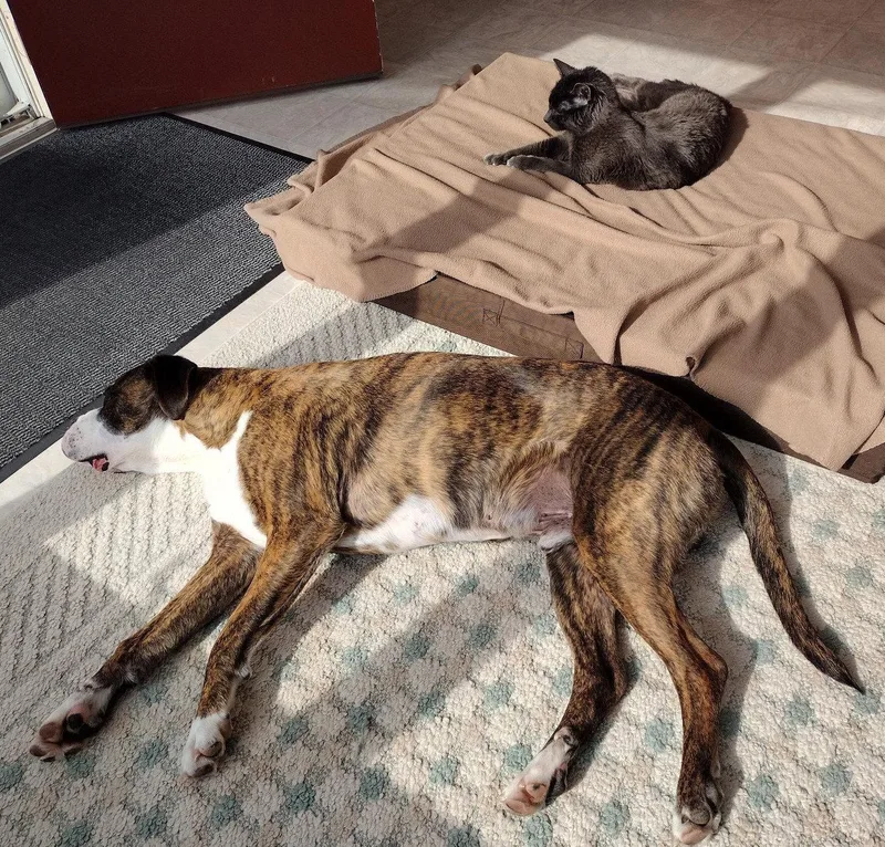 Hercules thumbnail 2