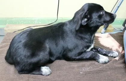 Fiona thumbnail 3