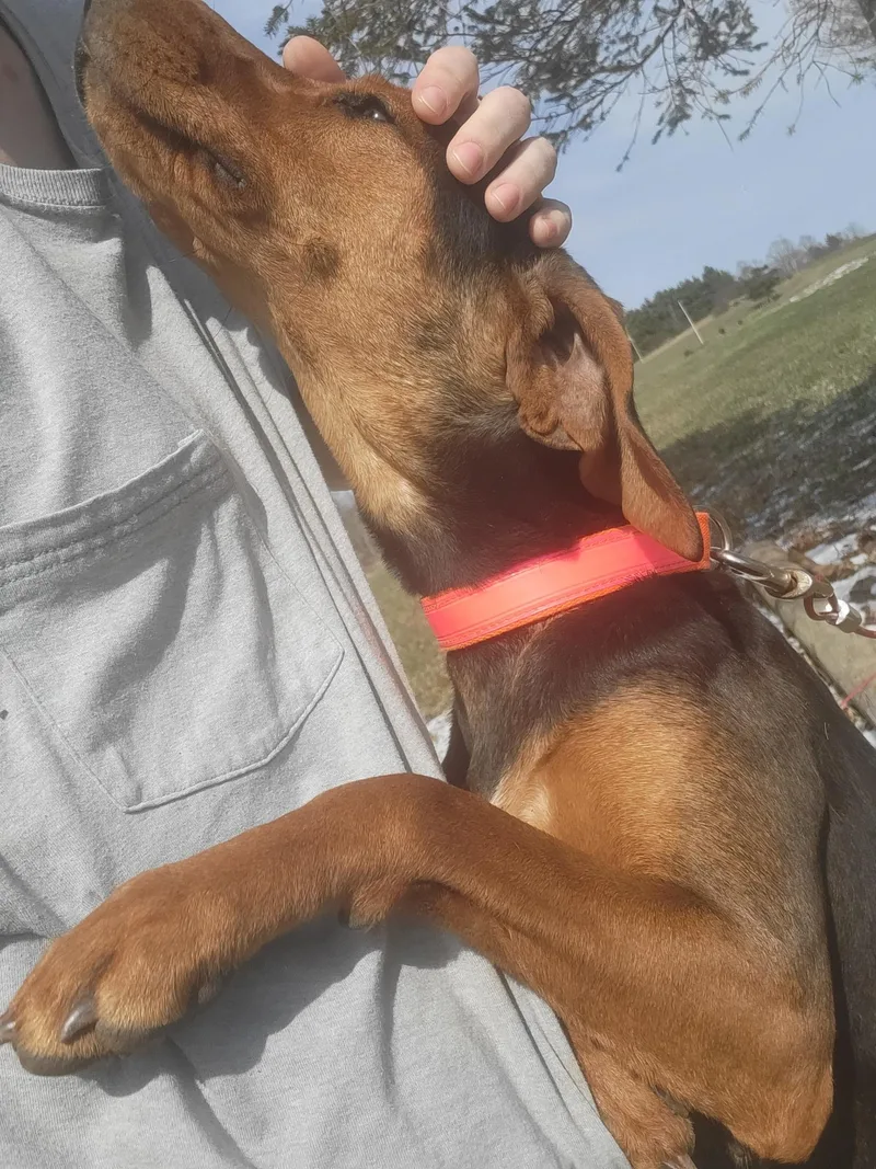 Fanny Mae Community Post thumbnail 2