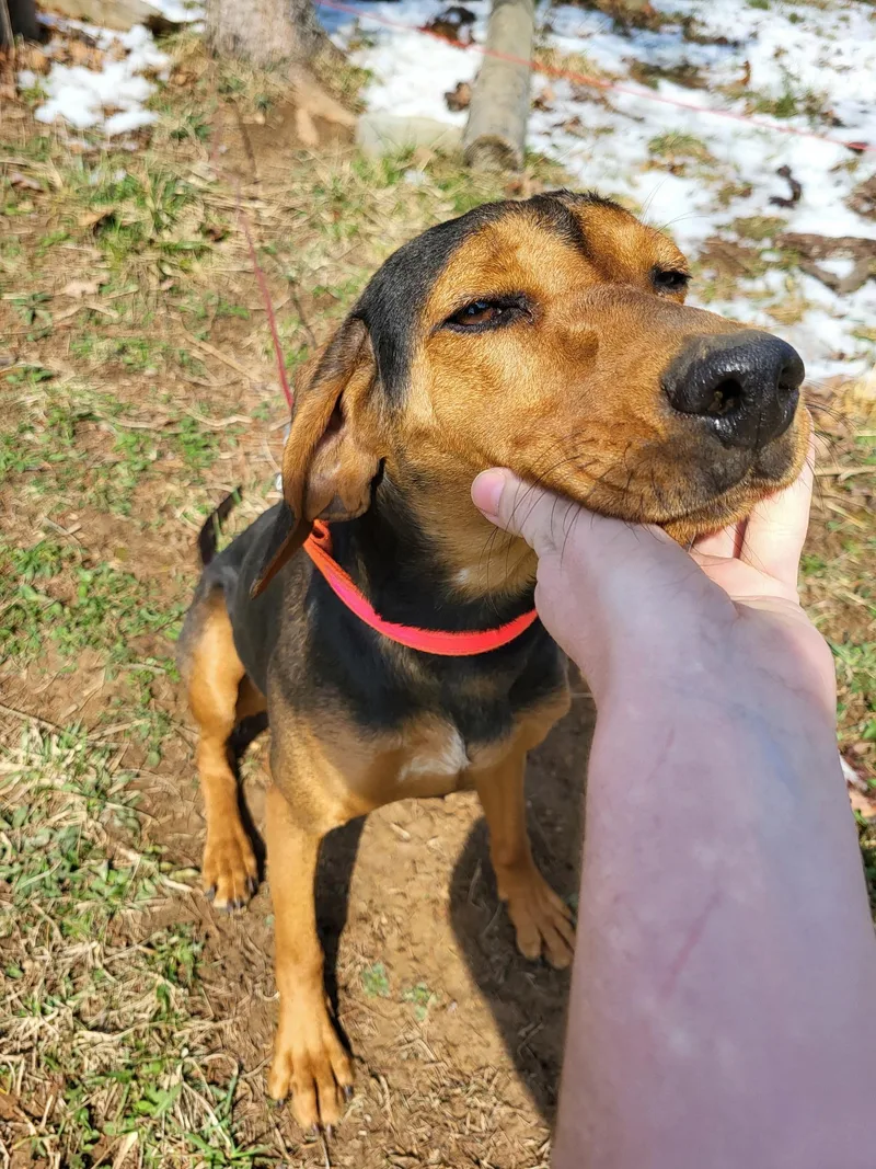 Fanny Mae Community Post thumbnail 4