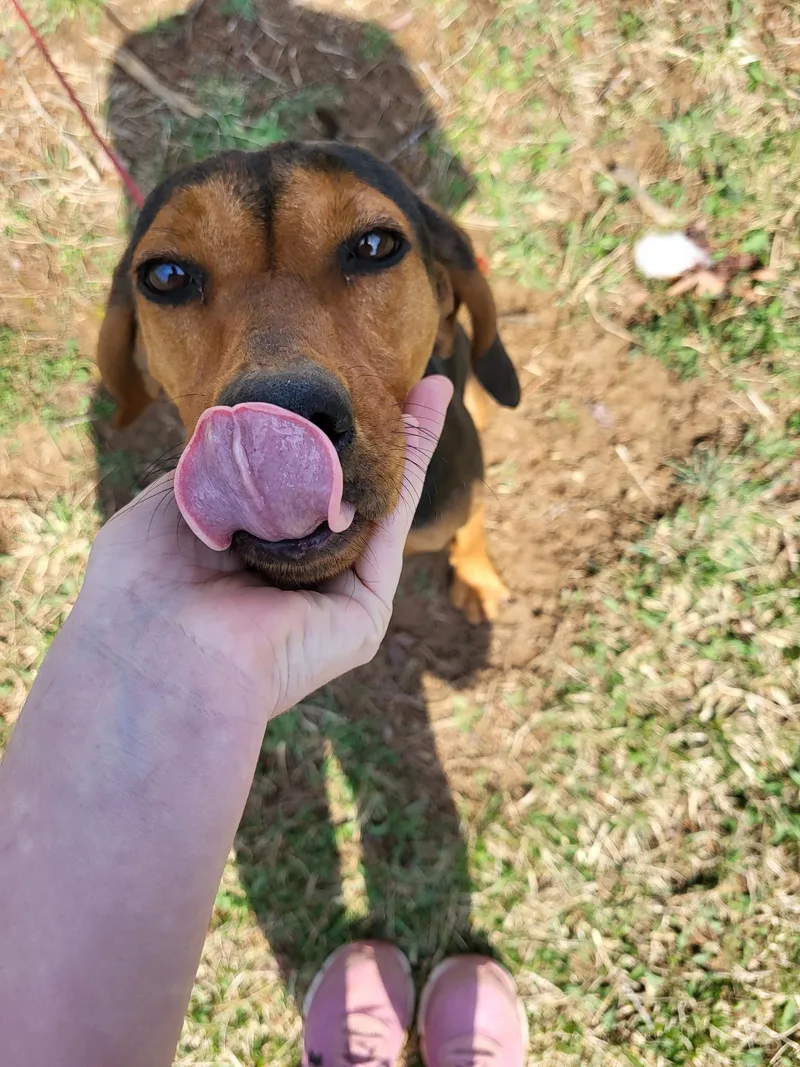 Fanny Mae Community Post thumbnail 5