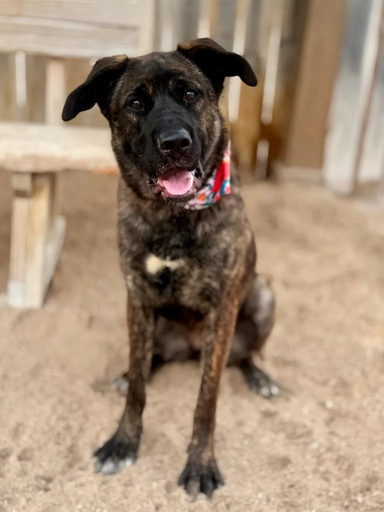 Roxy