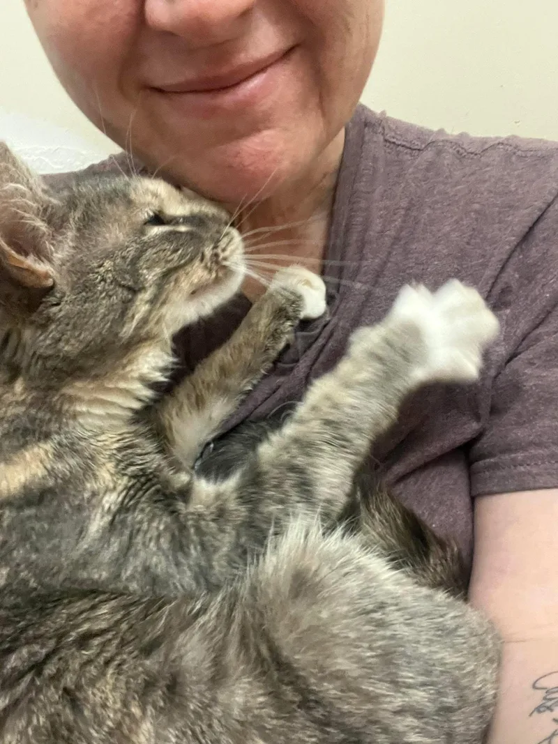 Judy Garland thumbnail 3