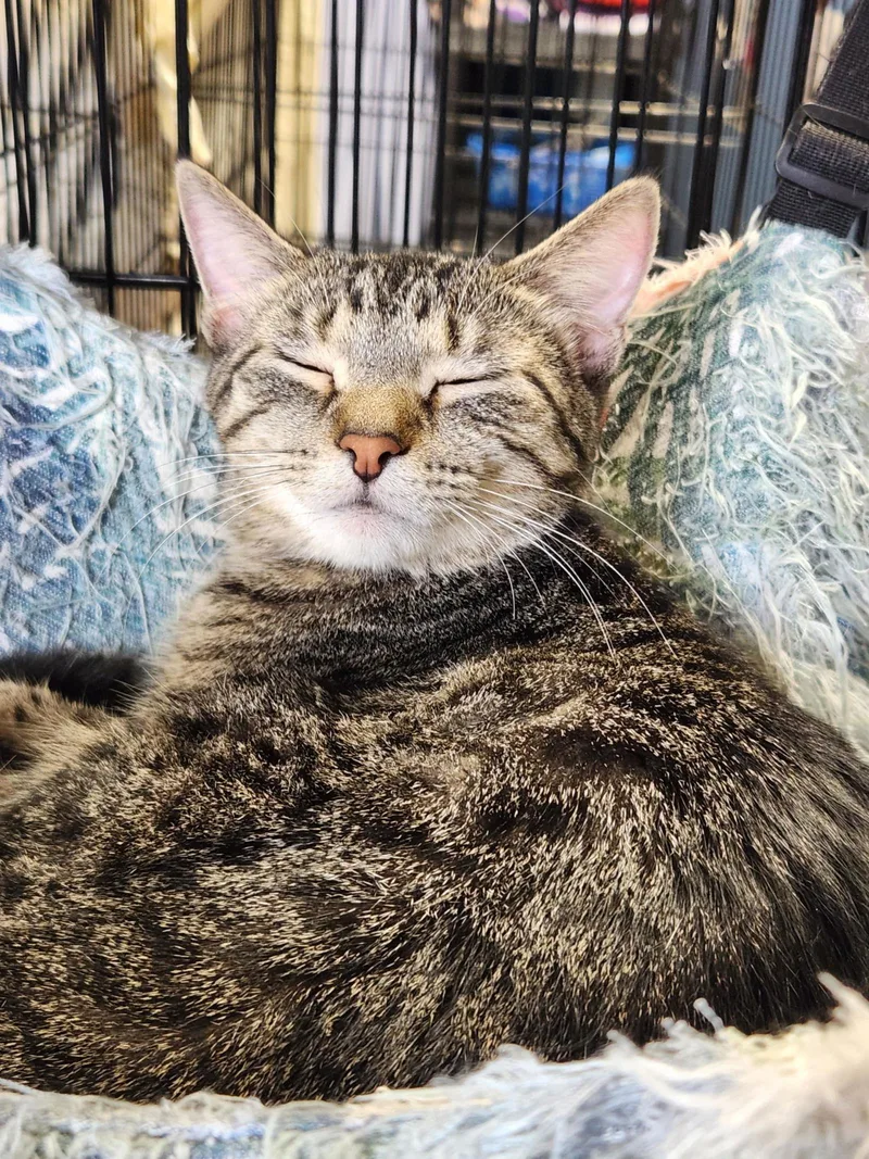 Pierce & Meryl thumbnail 2