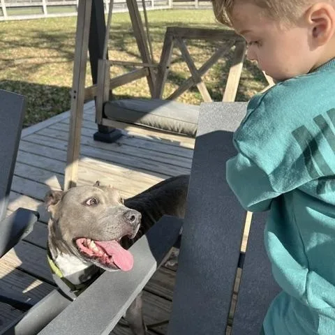 Princessa thumbnail 3