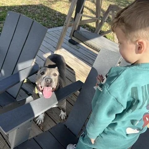 Princessa thumbnail 5