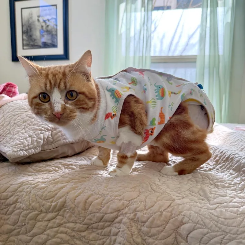 Benjamin Button thumbnail 2