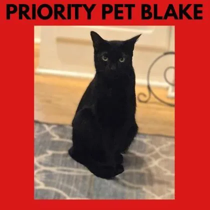 Blake  `a Priority thumbnail 3