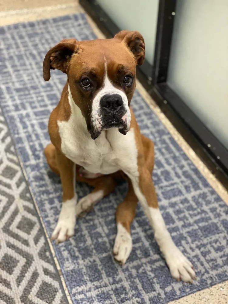 Chuck Norris thumbnail 5