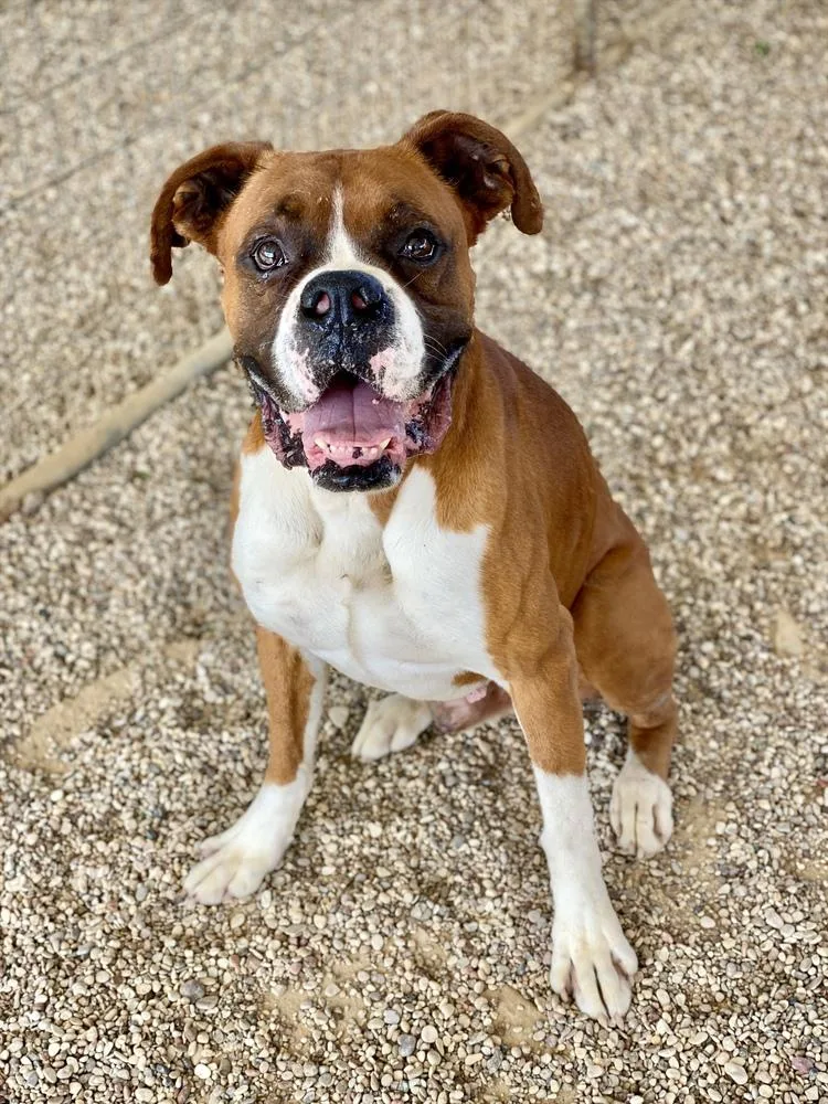 Chuck Norris thumbnail 6