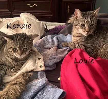 Kenzie thumbnail 2