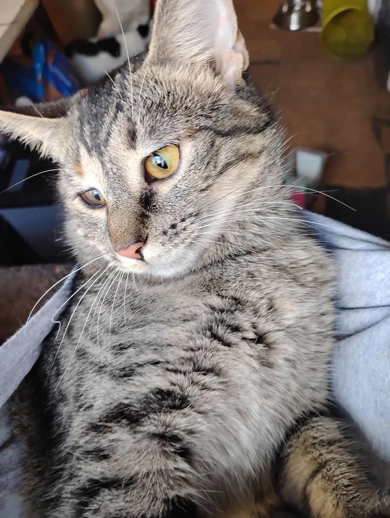 Olivia of Much Cuteness thumbnail 2