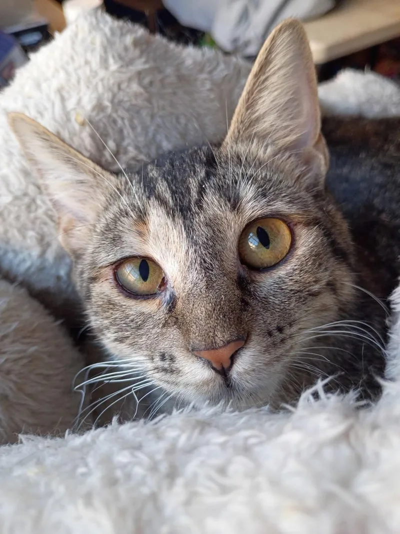 Olivia of Much Cuteness thumbnail 3