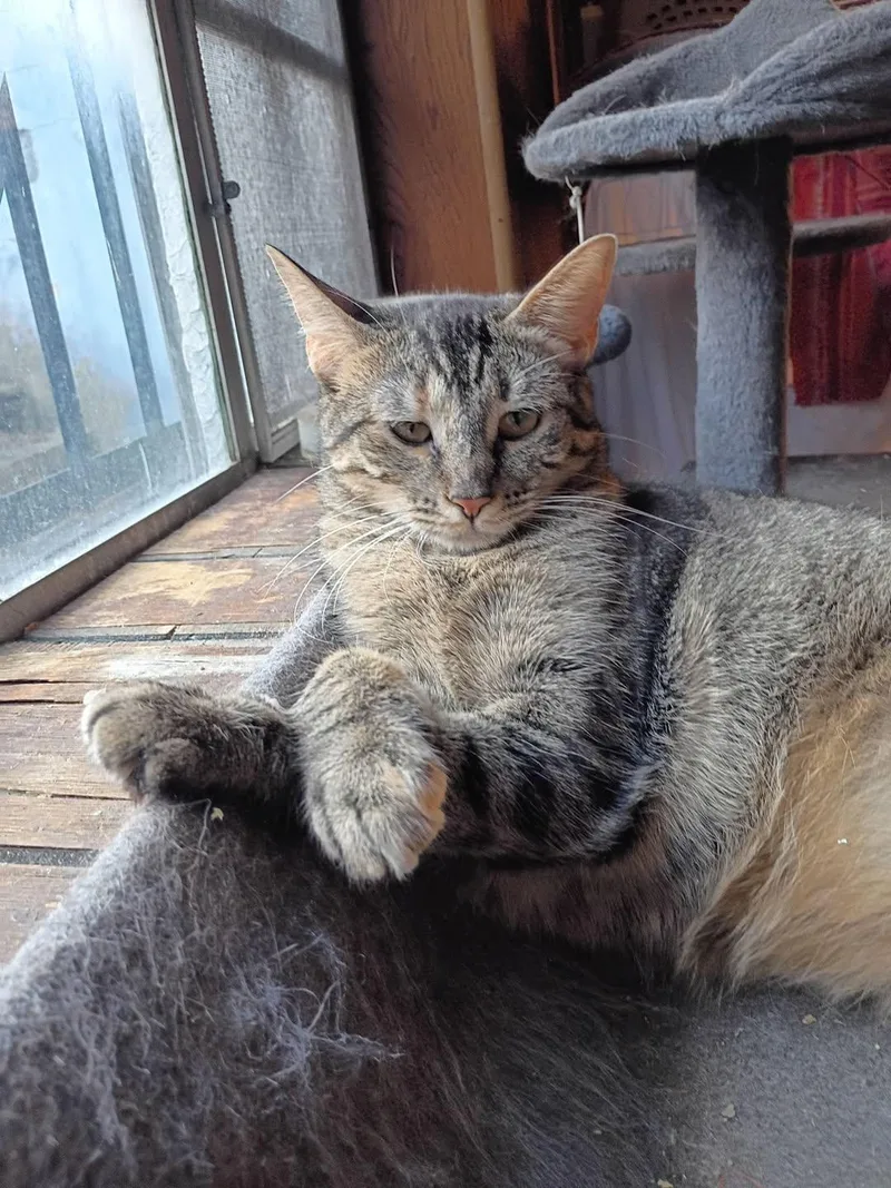 Olivia of Much Cuteness thumbnail 5