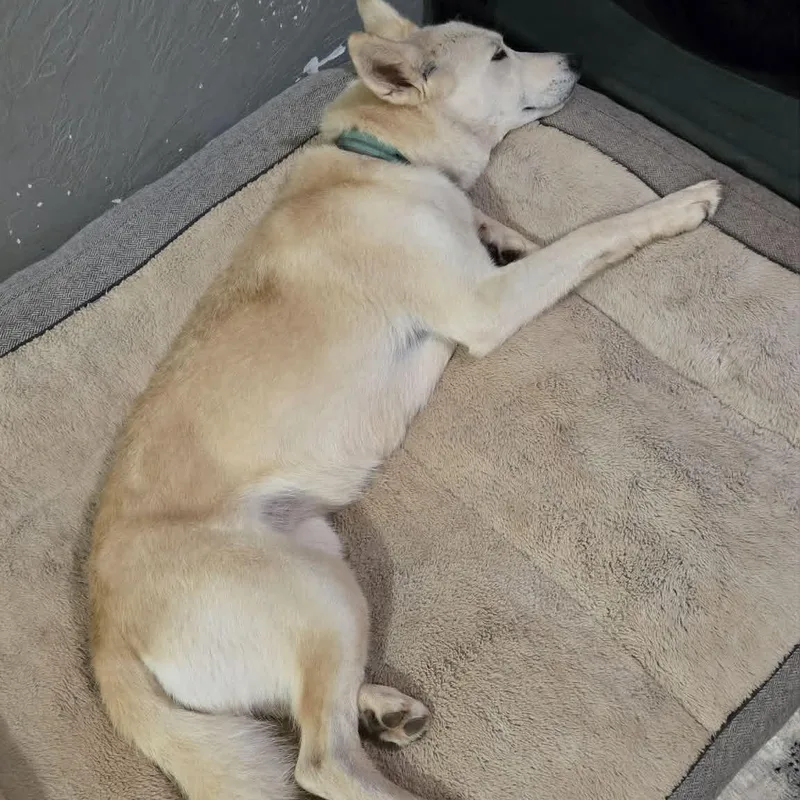 Luna thumbnail 2