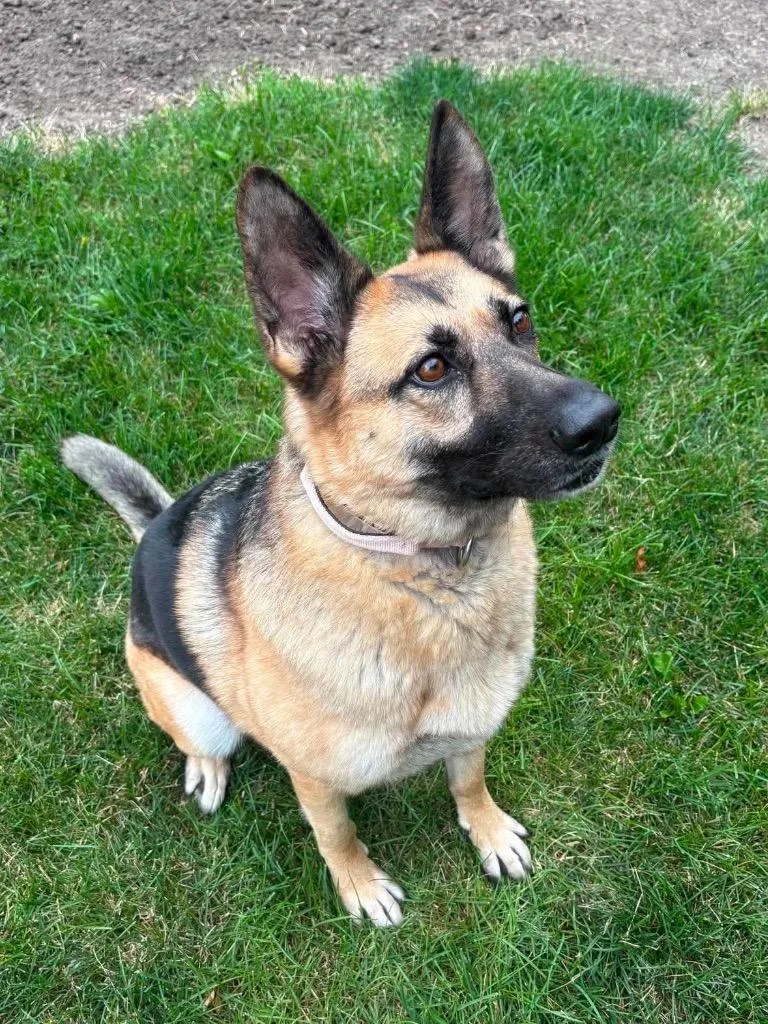 Bella