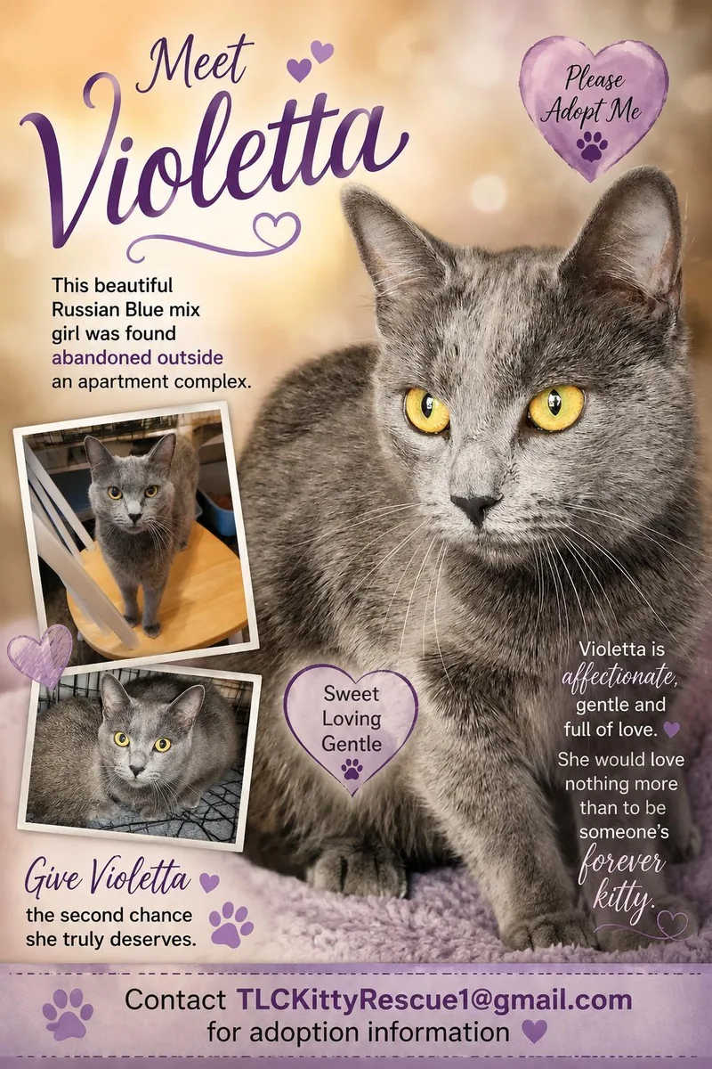 Violeta thumbnail 2