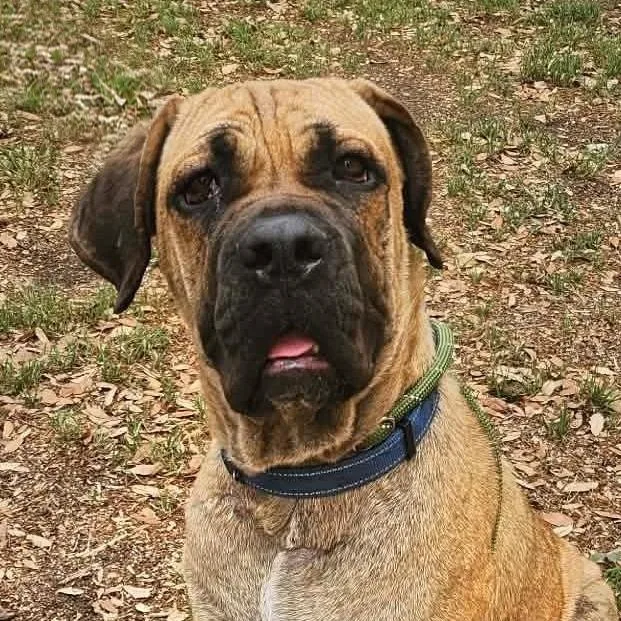 Ralph Bw thumbnail 2