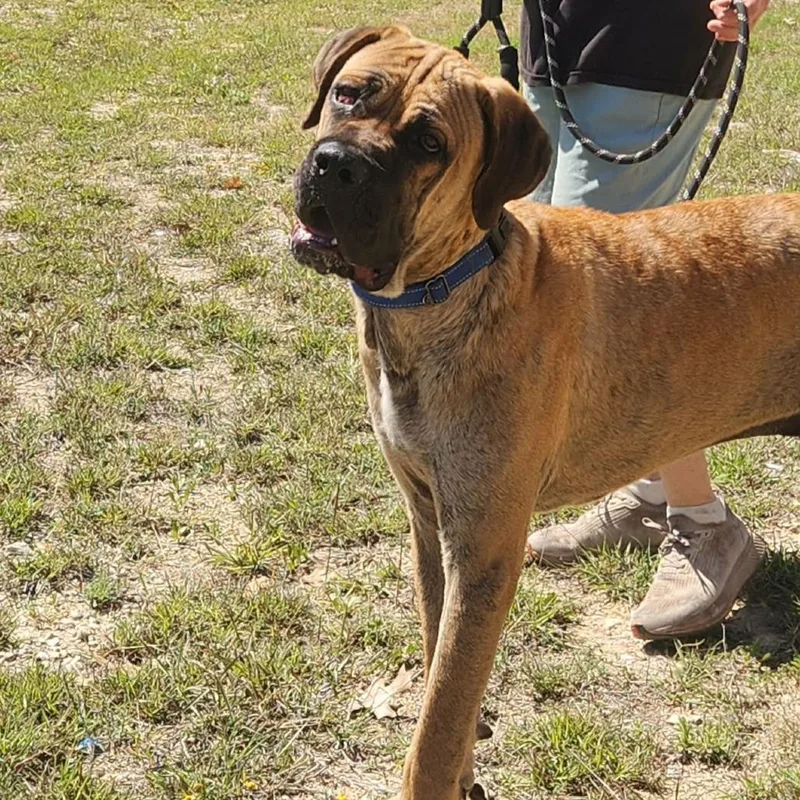 Ralph Bw thumbnail 3