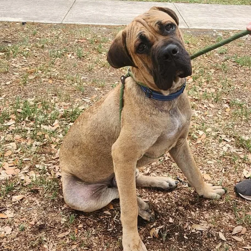 Ralph Bw thumbnail 6