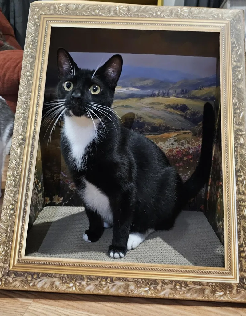 Biscotti thumbnail 2