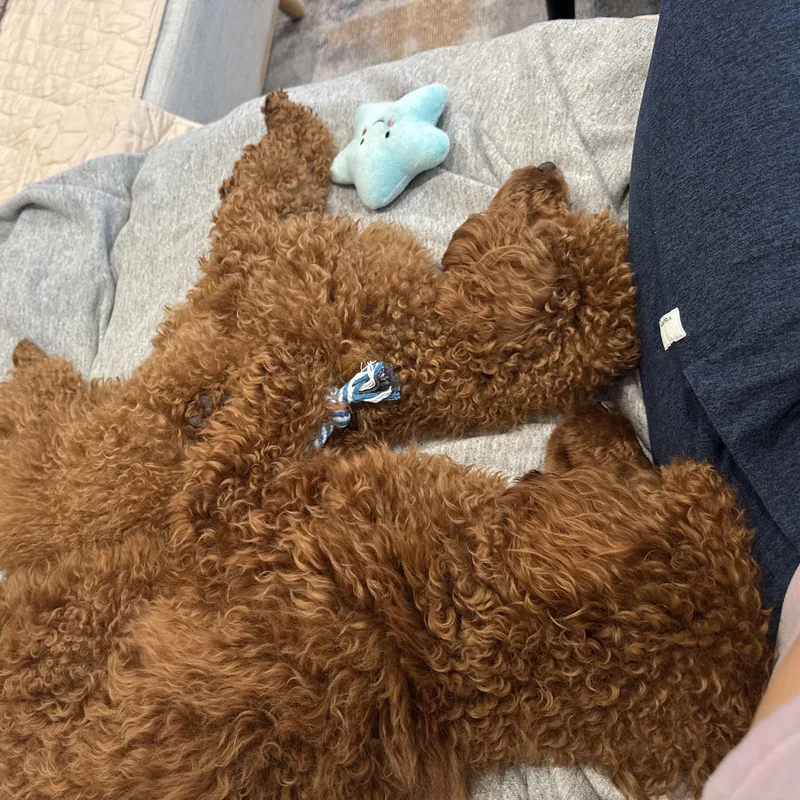 Butter Pecan & Pina thumbnail 2