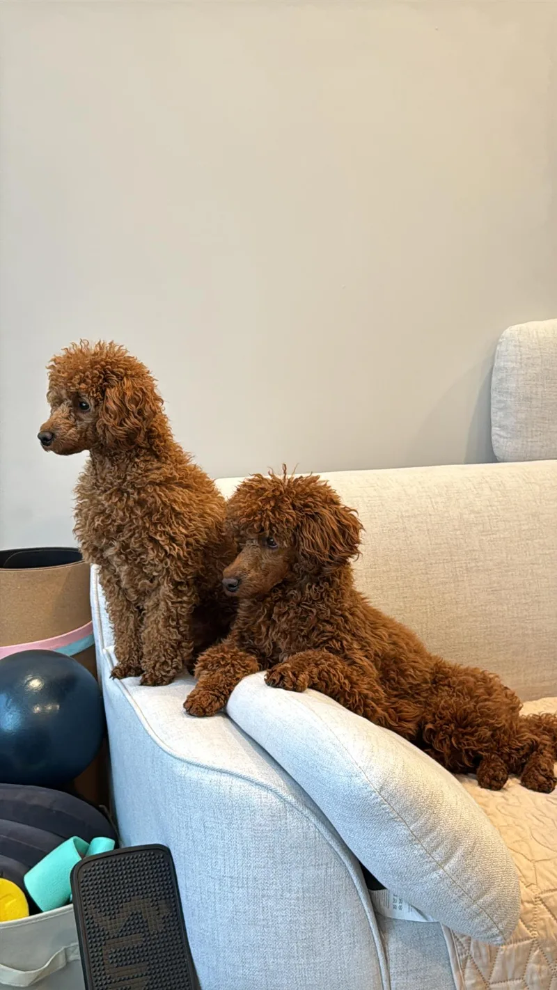 Butter Pecan & Pina thumbnail 3