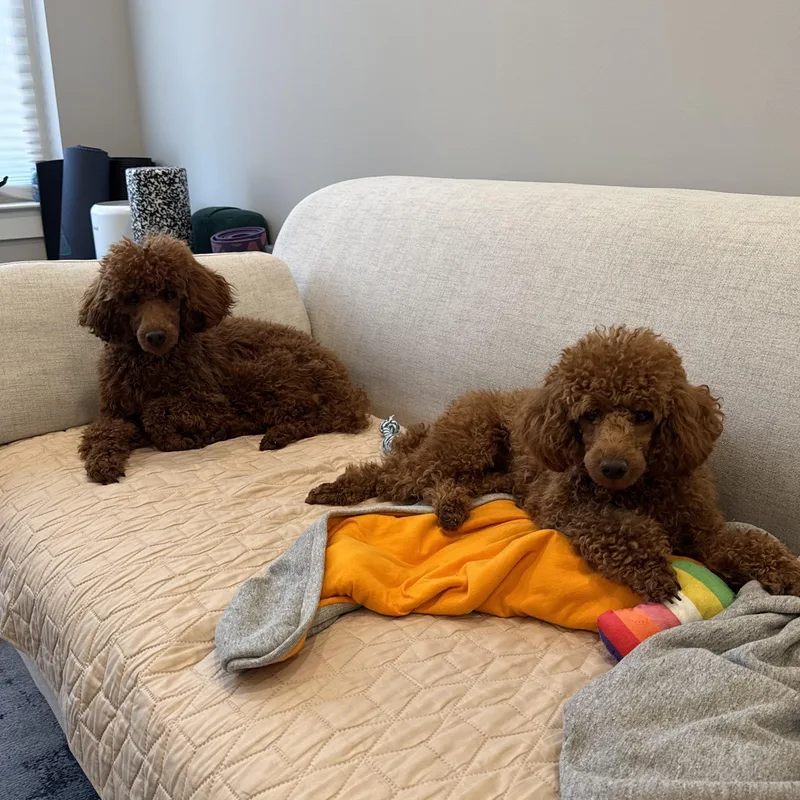 Butter Pecan & Pina thumbnail 6