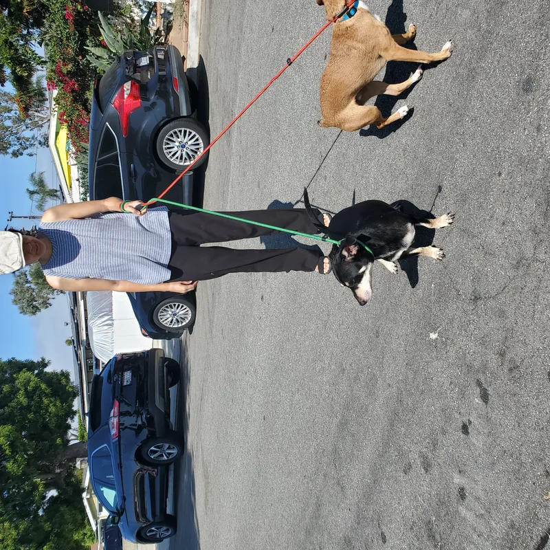 Tough Guy Warm Heart