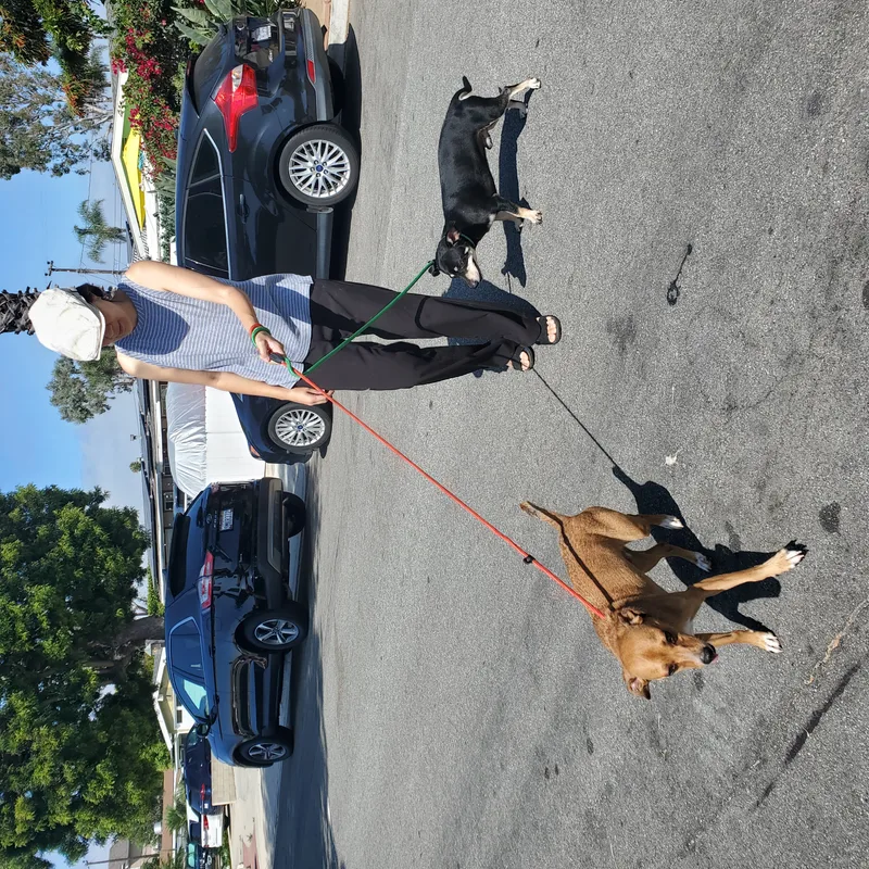 Tough Guy Warm Heart thumbnail 2