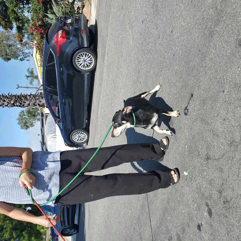 Tough Guy Warm Heart thumbnail 3