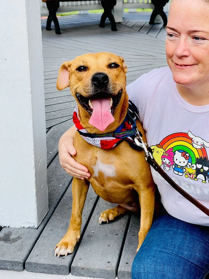 Penny Happy Girl! thumbnail 4