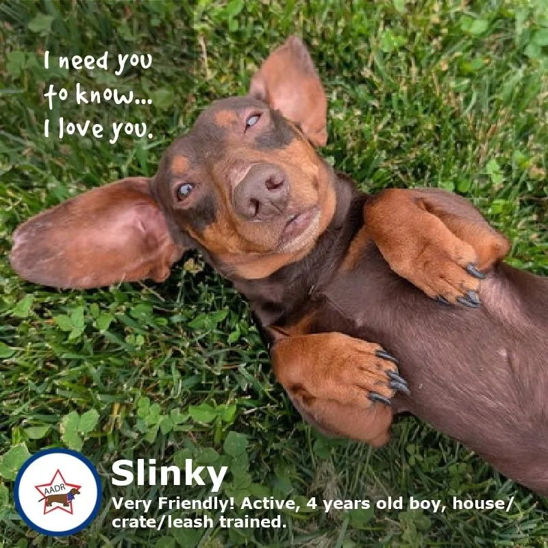 Slinky In Ga thumbnail 4