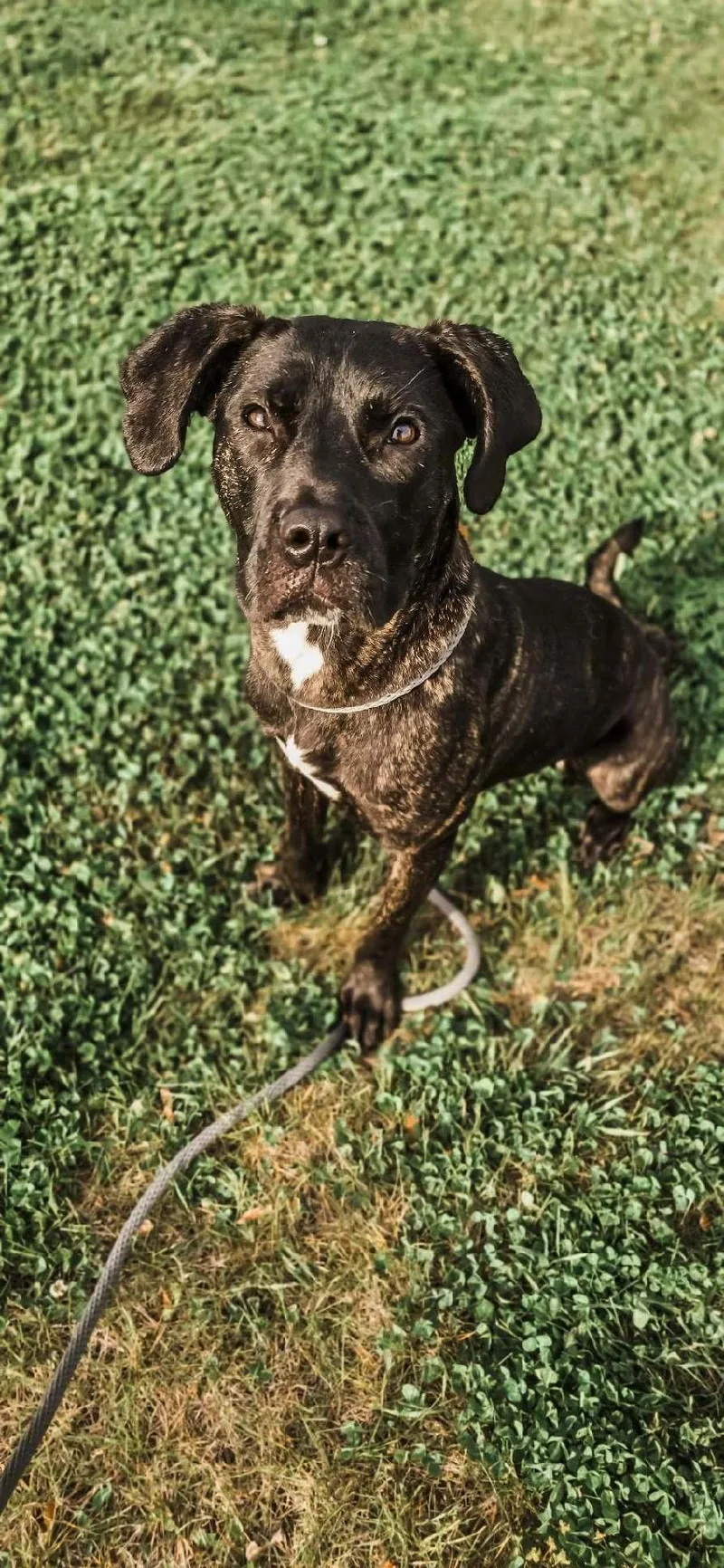 Coraline thumbnail 3