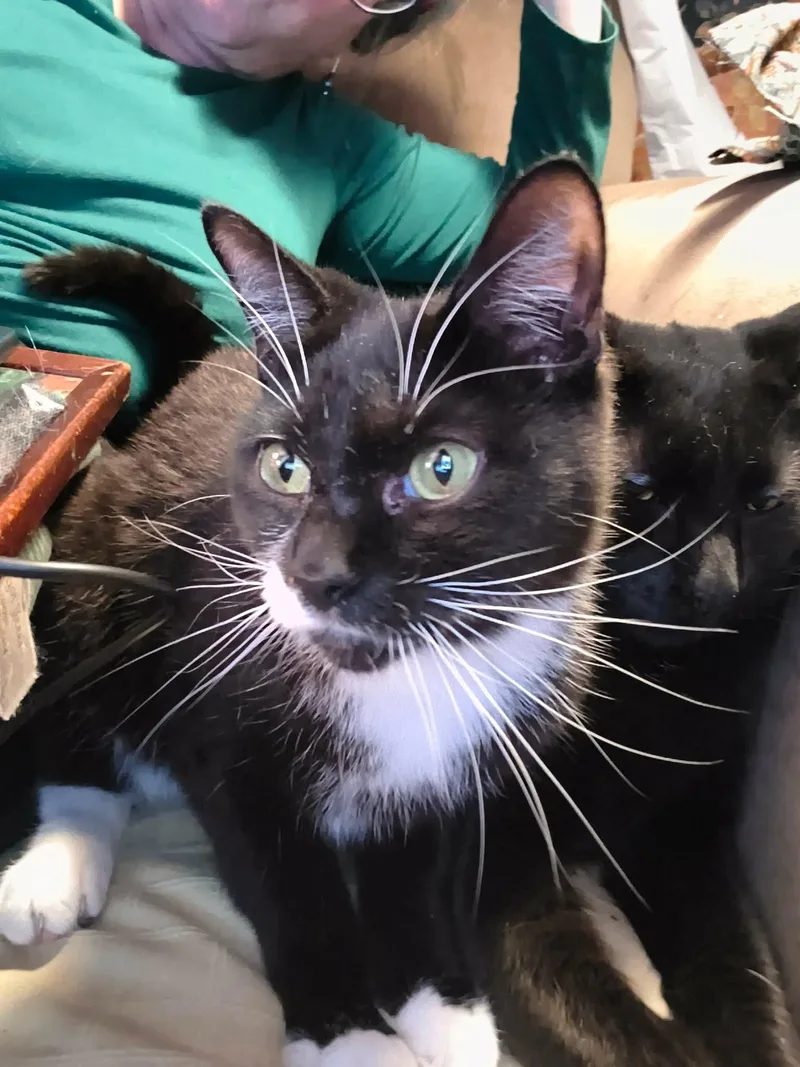 Asparagus thumbnail 5