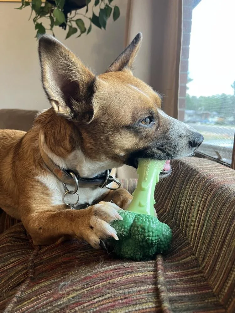 Pepper thumbnail 3