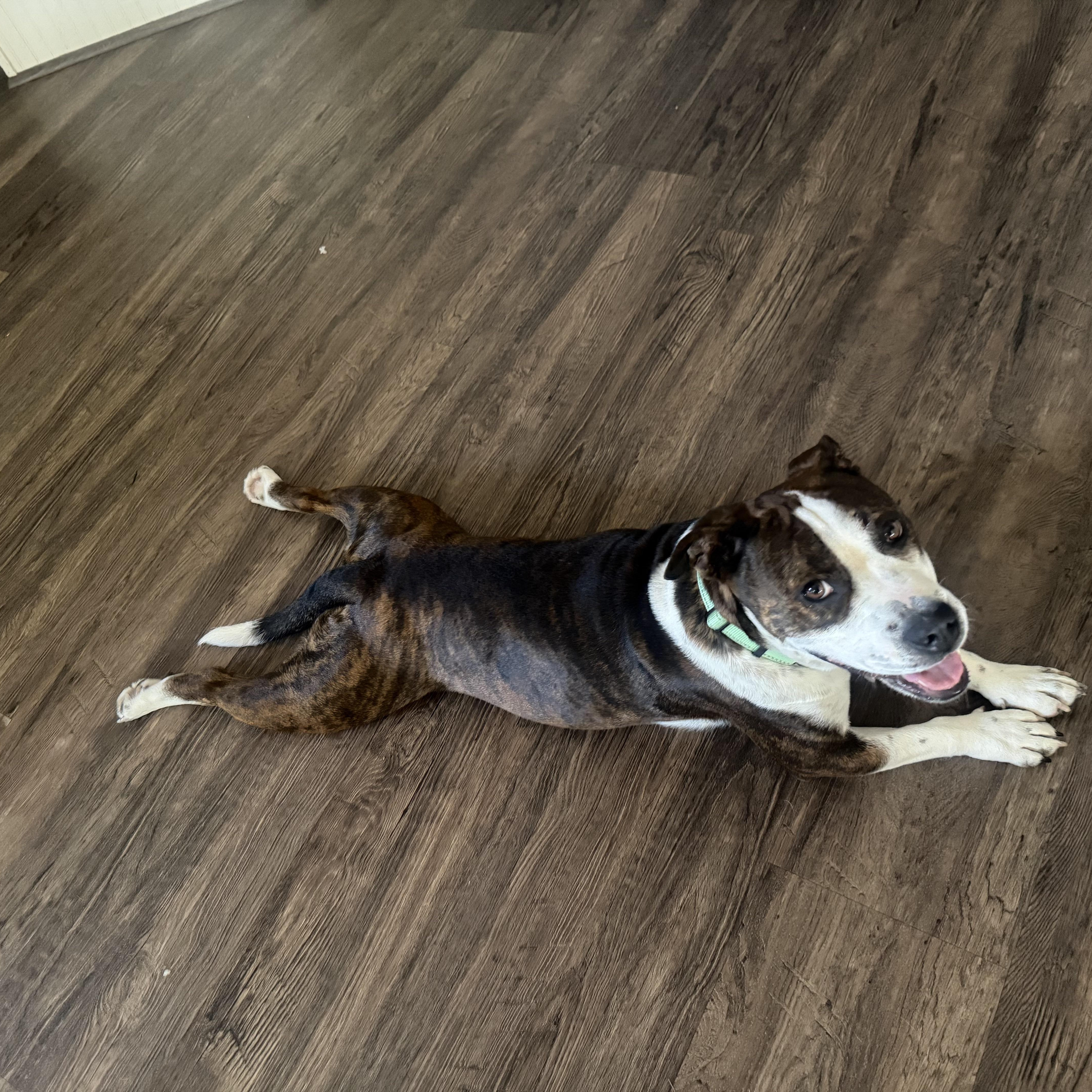 Maggie
