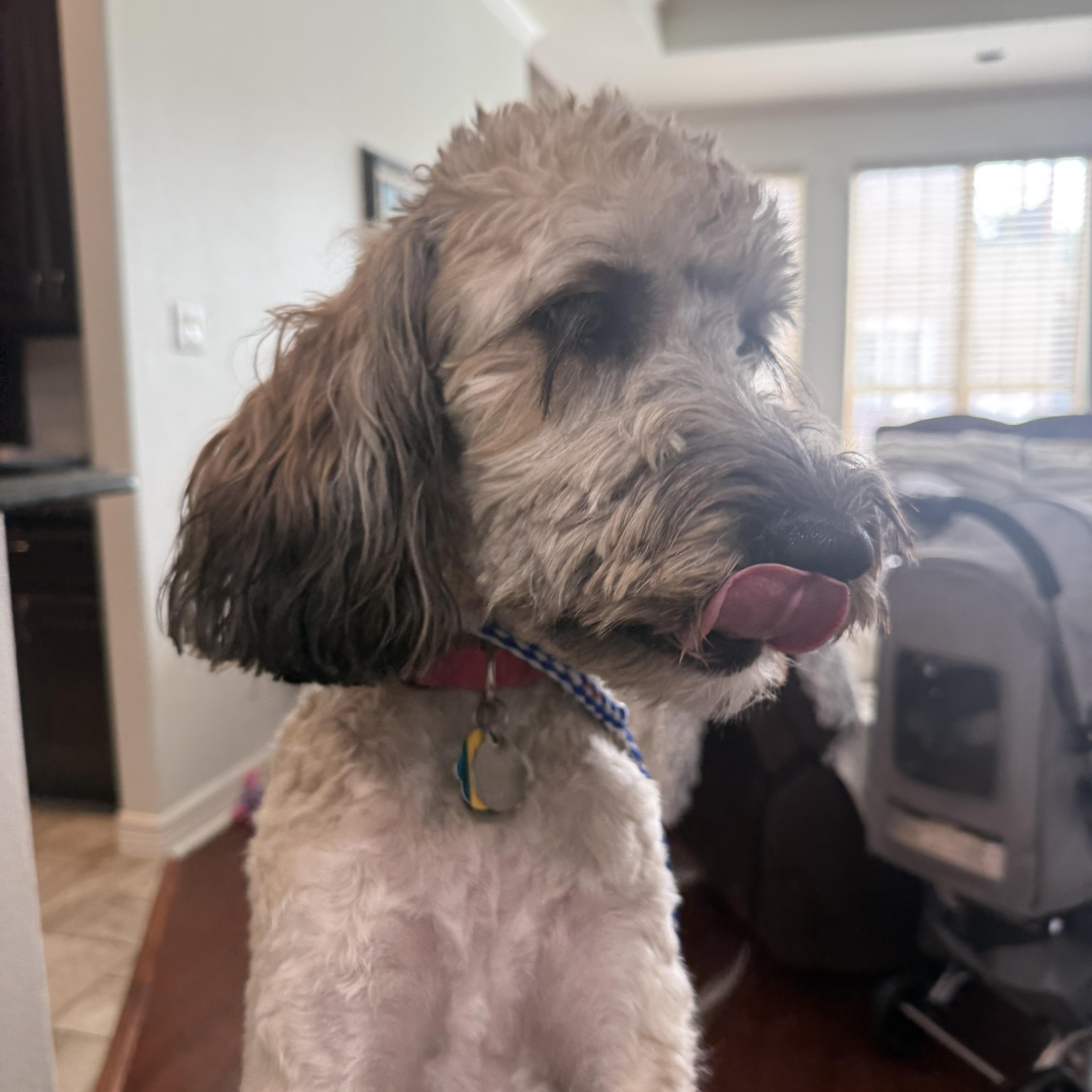 Dakota thumbnail 2