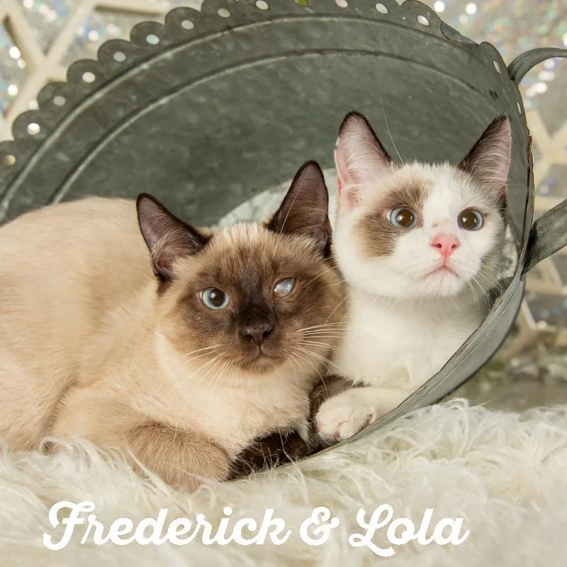 Frederick thumbnail 3