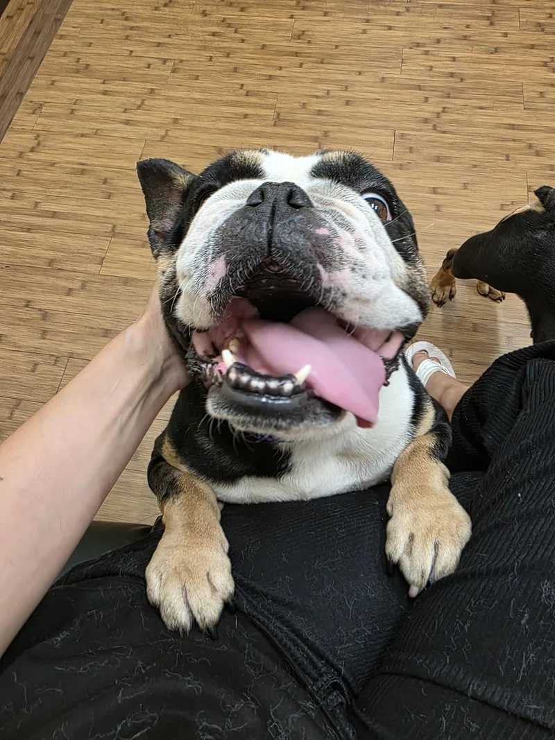 Cuddles thumbnail 3