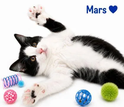 Mars thumbnail 2