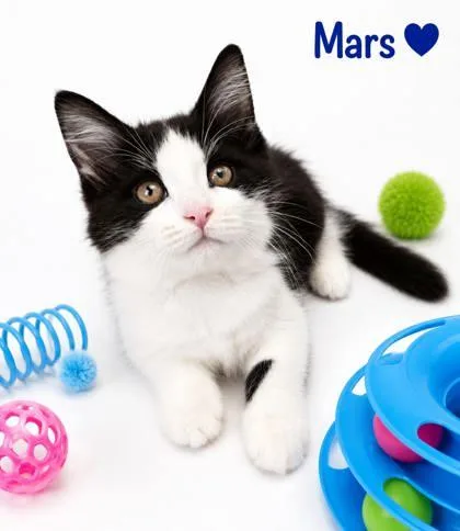 Mars thumbnail 3