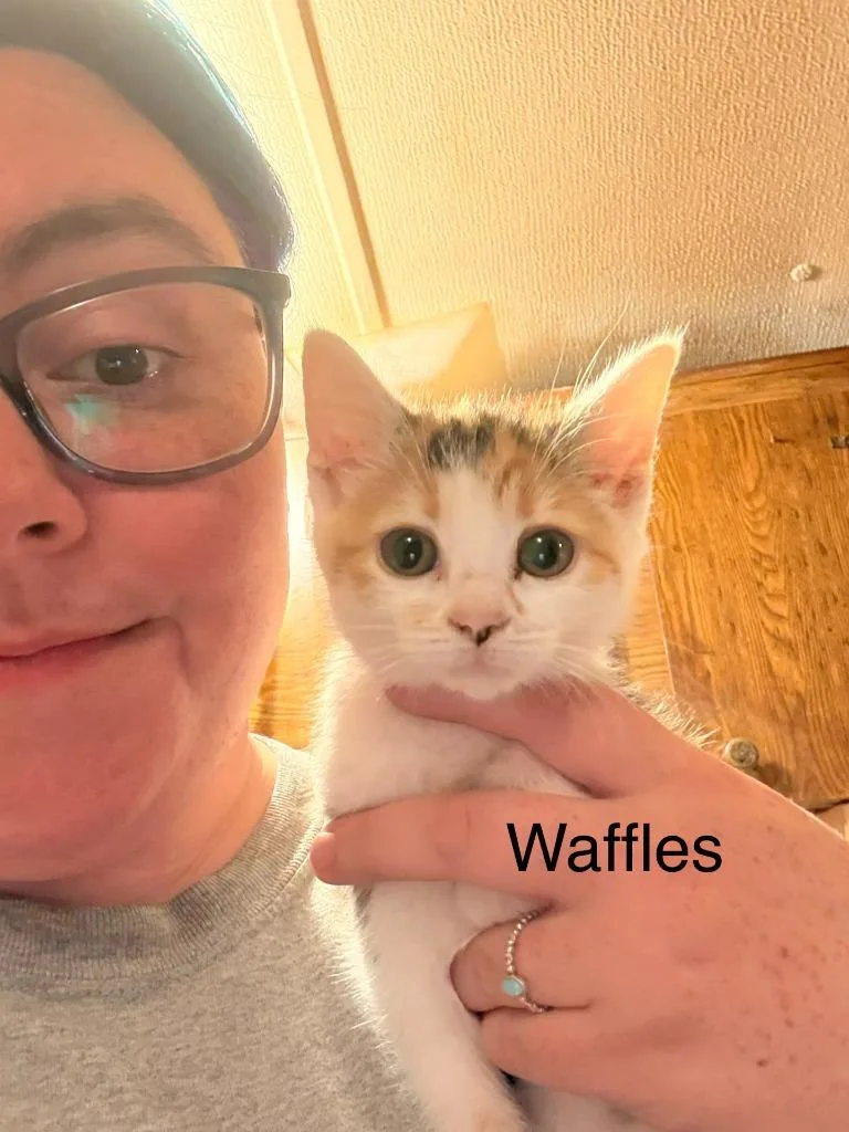 Waffles thumbnail 2