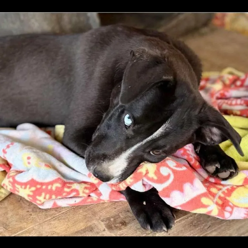 Harper Lea Tucker thumbnail 4